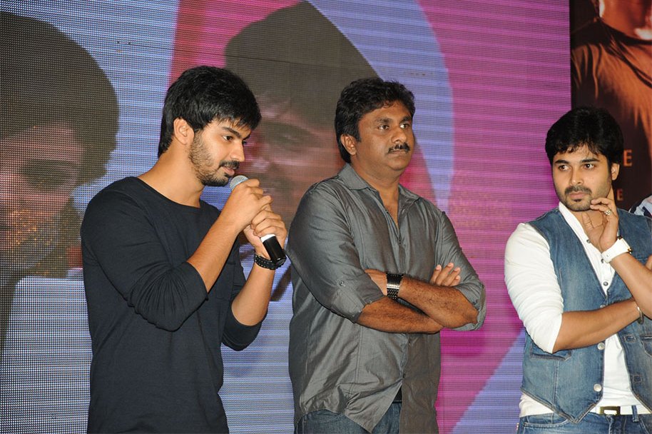 Prema-Ishq-Kaadhal-Audio-Function